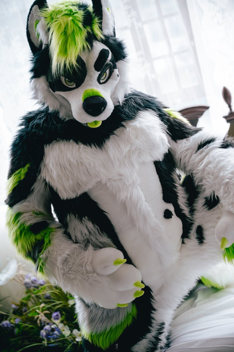 きょうへい(恭平)🔜 Thaitail tweet media