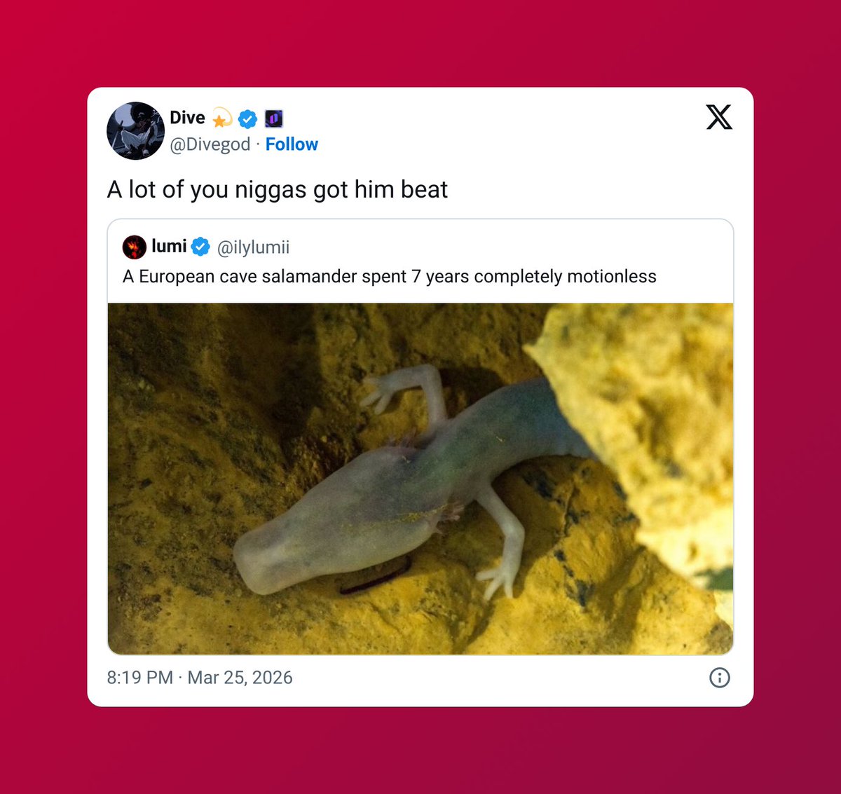 catch a recycler tweet media