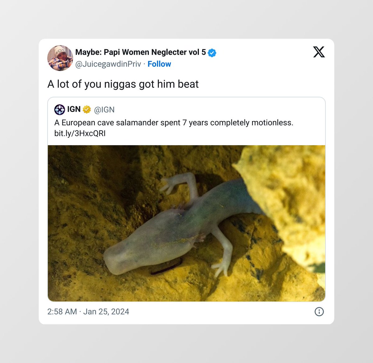 catch a recycler tweet media