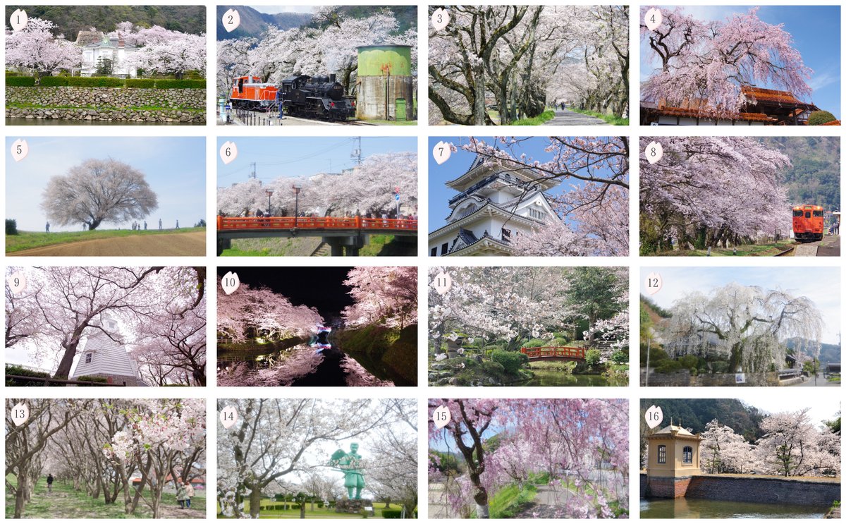 【公式】トリピー@鳥取県マスコットキャラクター🍐 tweet media