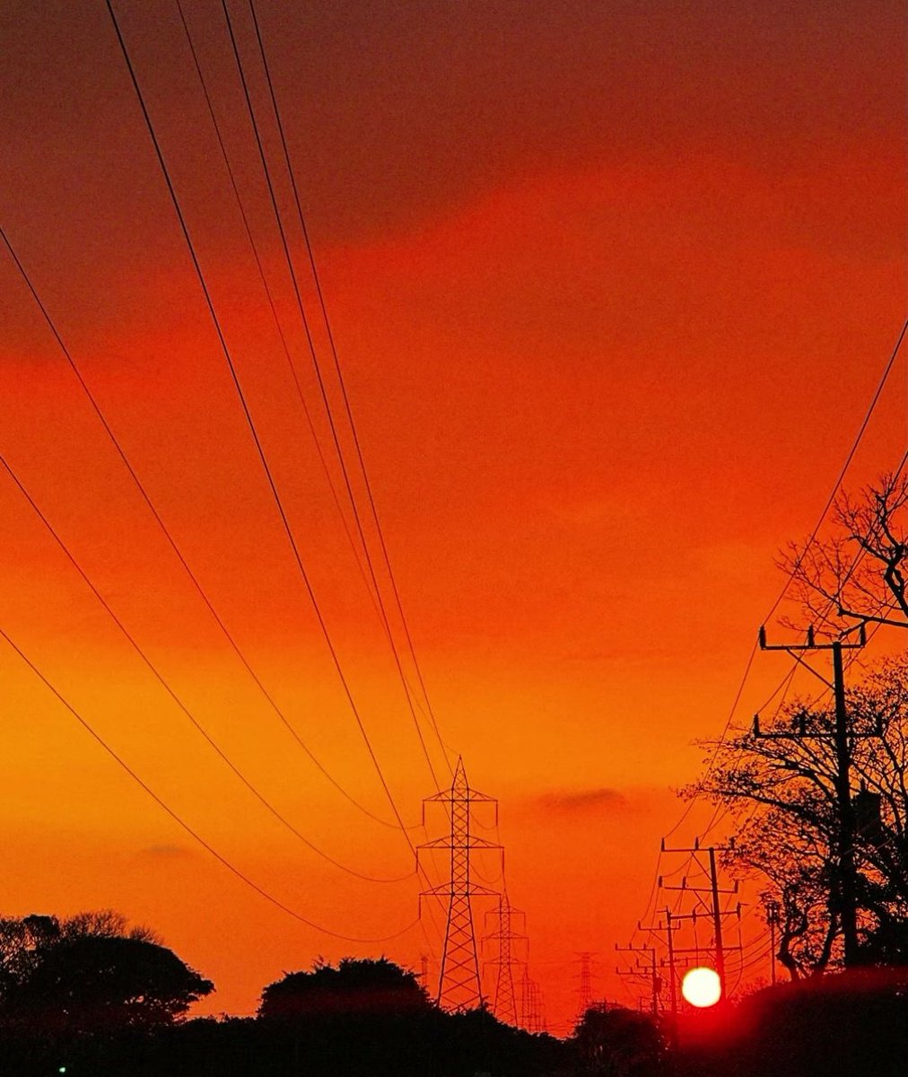 Carlos F. Lobo Protti tweet media