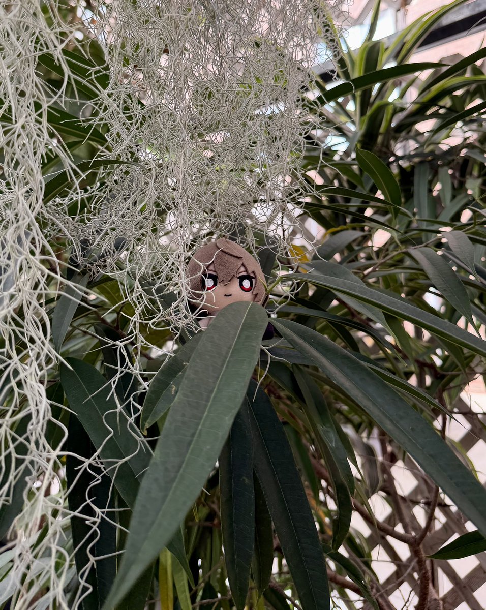 Zander🌻 tweet media