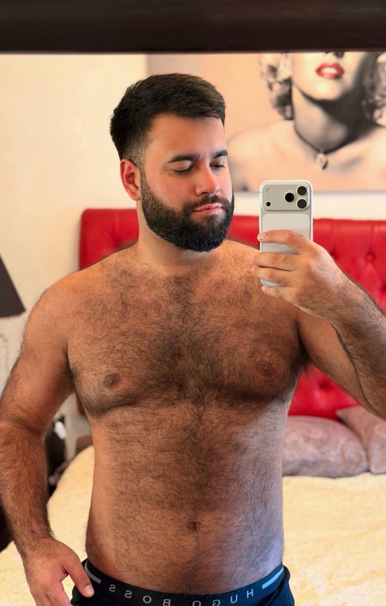 El Bearcito tweet media