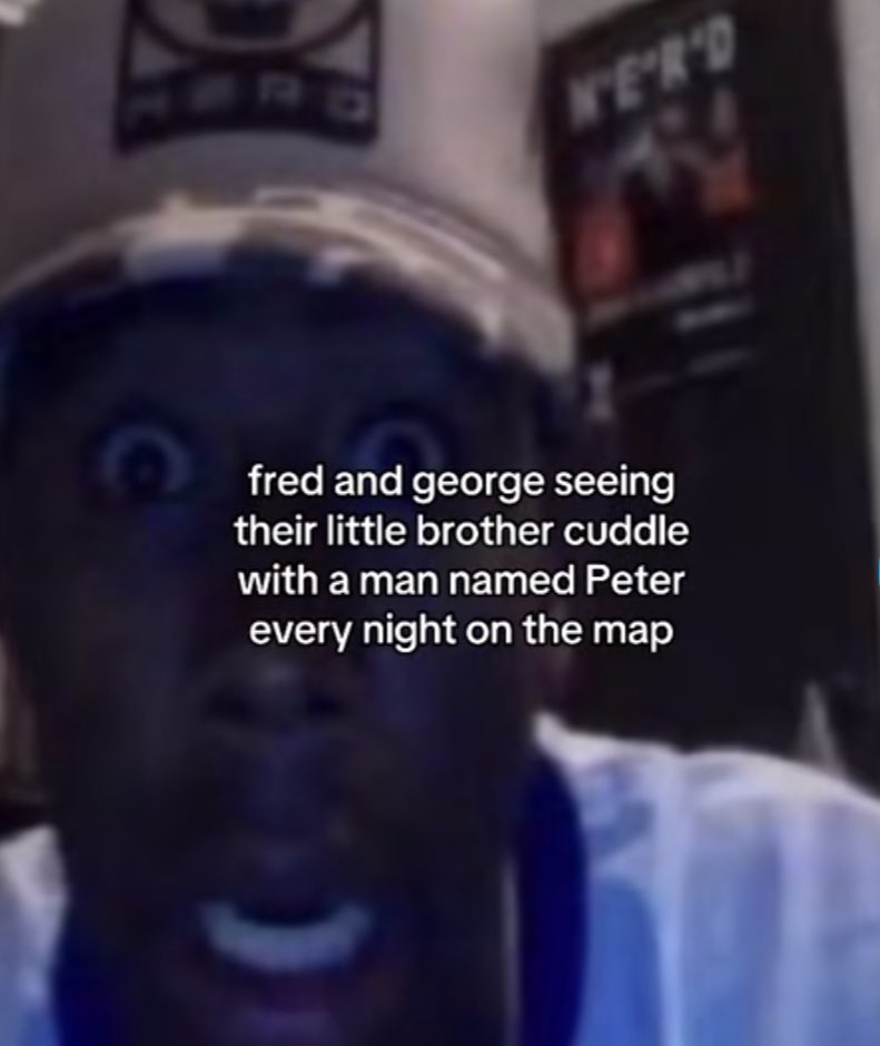 ソフィア russell’s pet seal tweet media