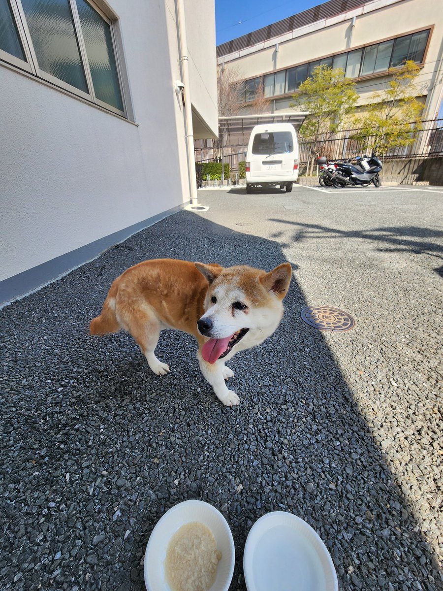 まるぴー tweet media