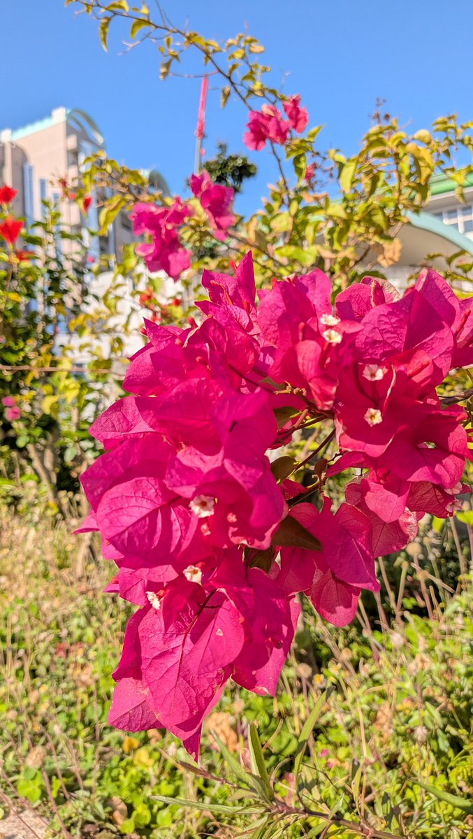 🌈電話相談窓口　にじいろ相談🌈
open🪴毎週土曜 10:00-17:00
098-880-8434
今日も相談員がお電話口でおまちしています
あなたのペースで大丈夫です

相談は無料です
秘密プライバシーは固く守ります

ひとりで悩まずにご相談ください

#沖縄県　#てぃるる相談室　#悩み相談 #電話相談