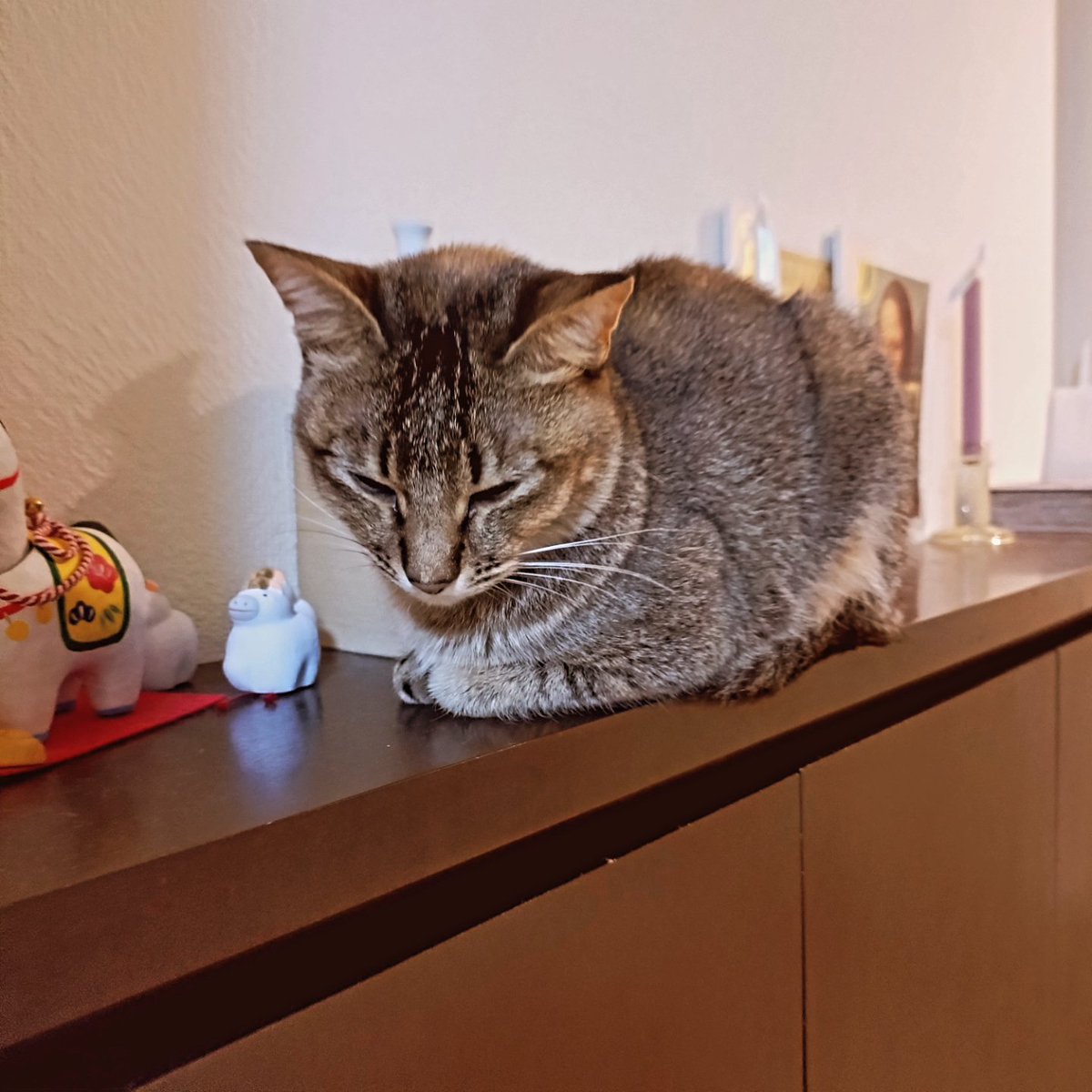 光安 淳 みつやす じゅん tweet media