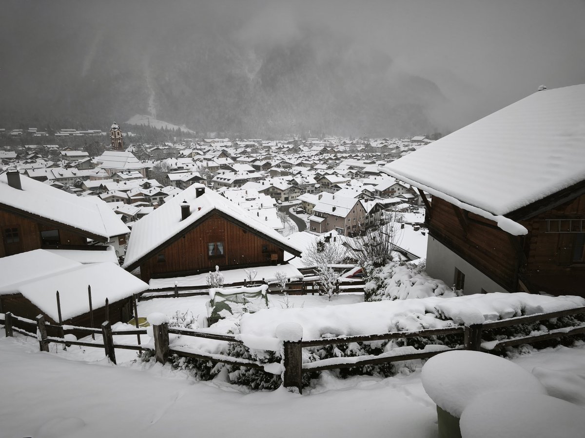 Anton lipp tweet media