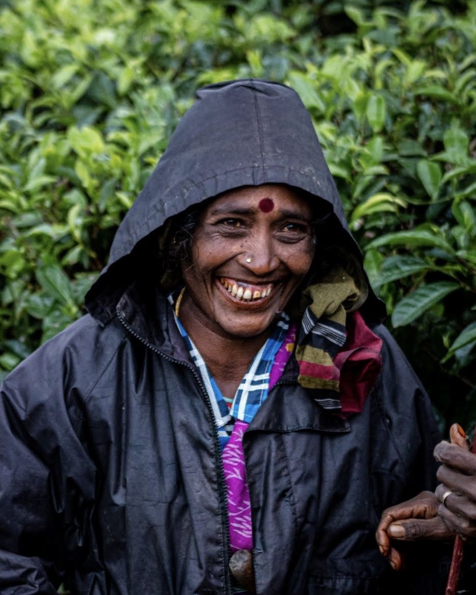 oddshotsgallery tweet media