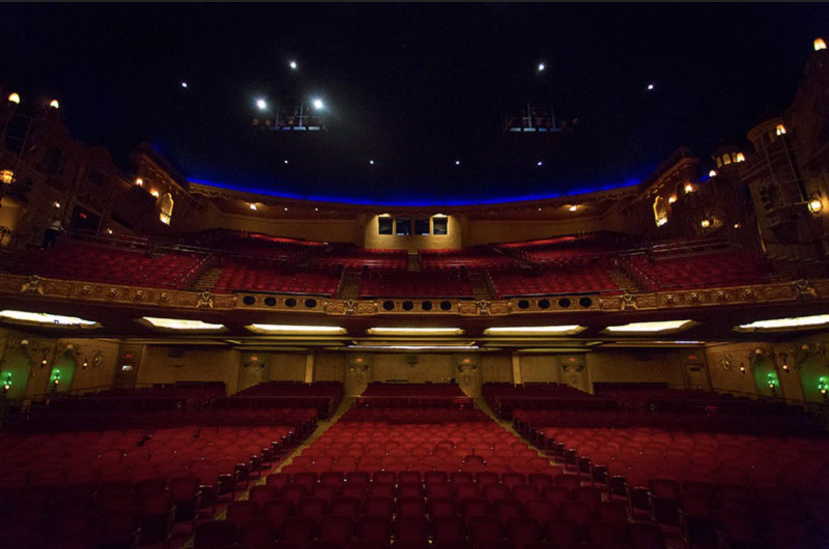 Randy 📸 Daisy and Freddie tweet media