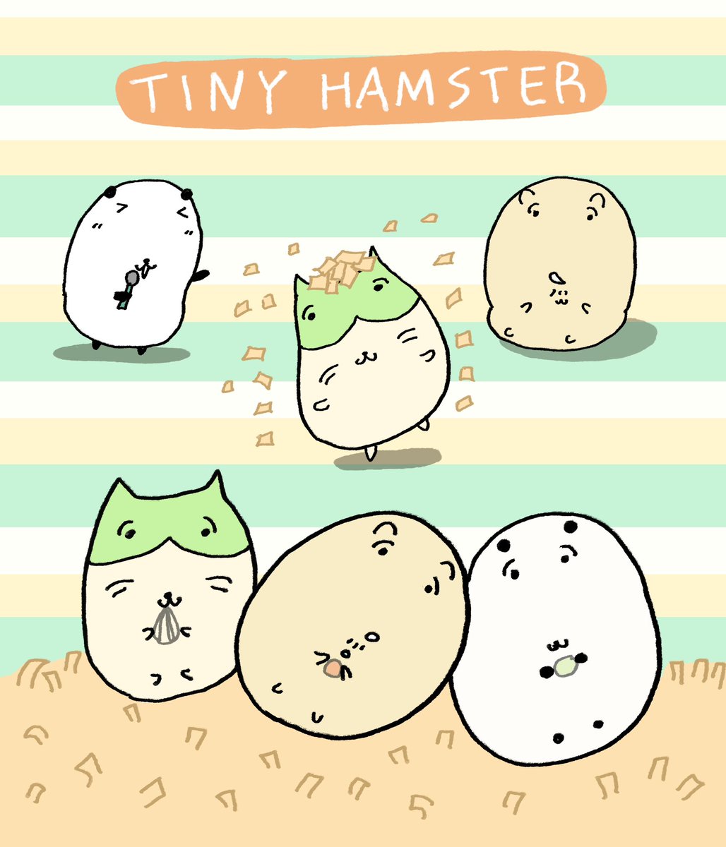Tinypet tweet media