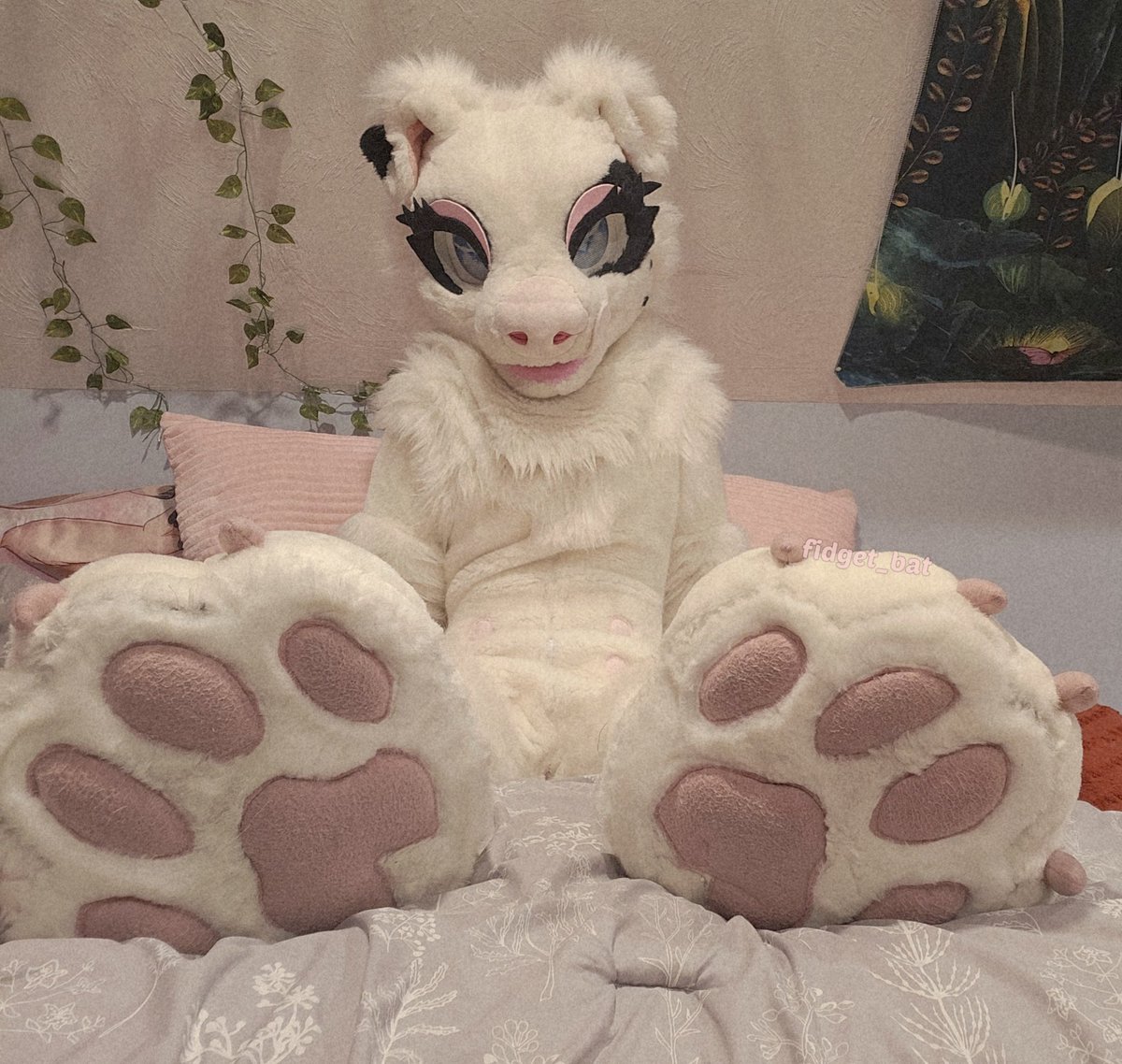 Fidget The Bat🦇 tweet media