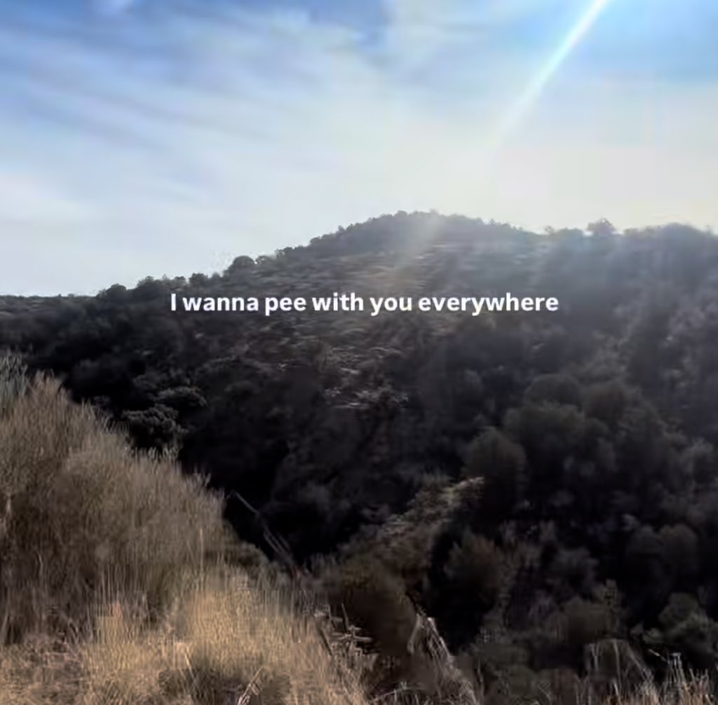 this is so shoni coded