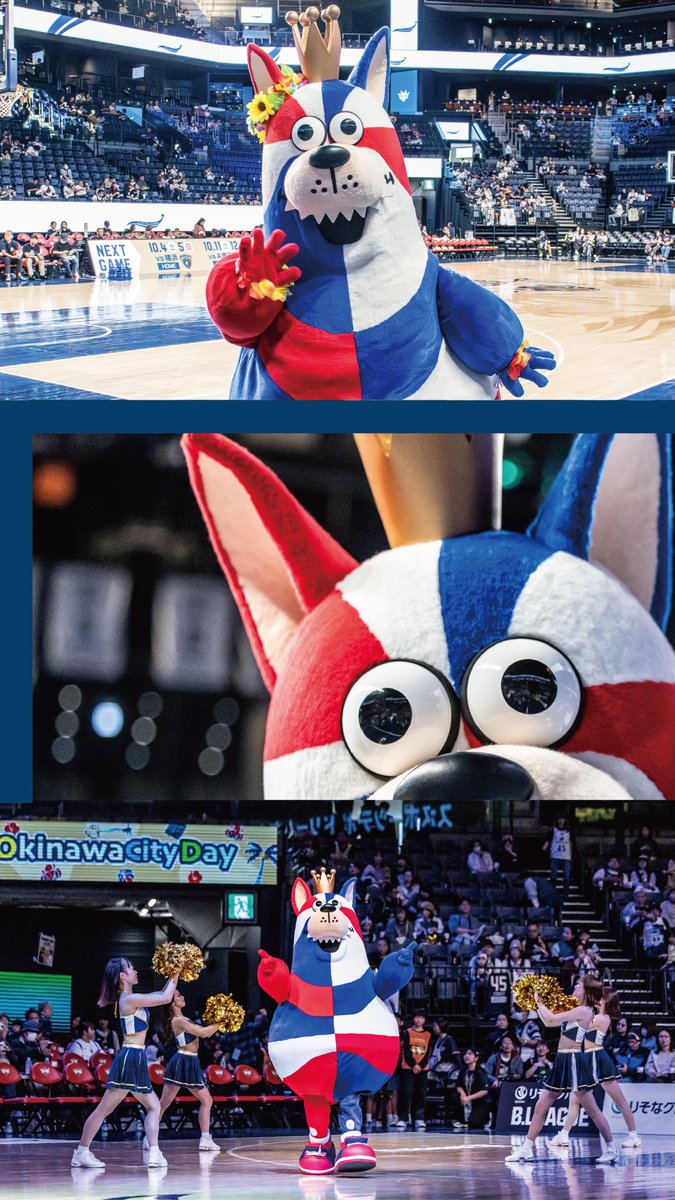 琉球ゴールデンキングス公式 tweet media