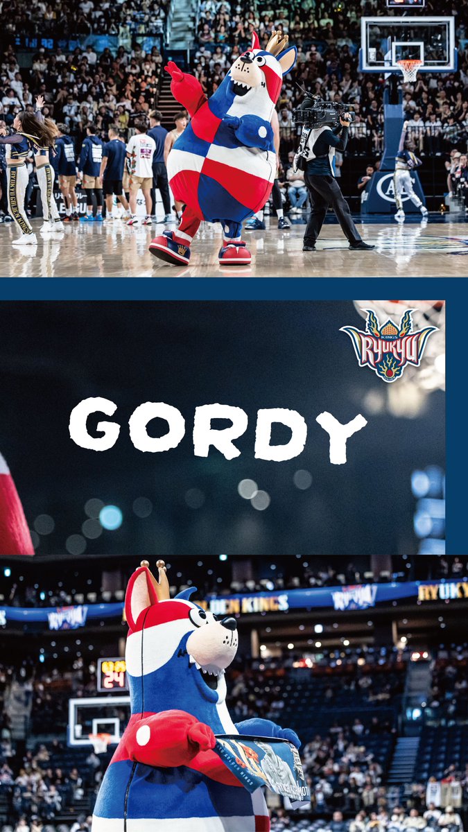 琉球ゴールデンキングス公式 tweet media