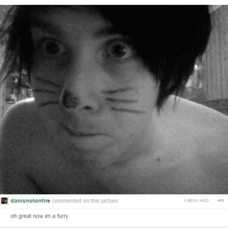 :paulie ⚞•⚟ tweet media