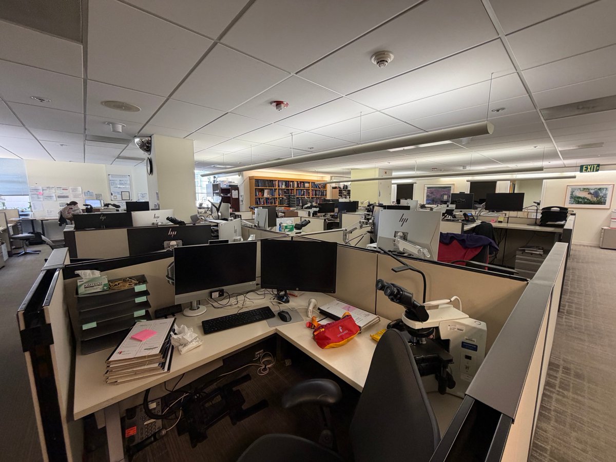 slusagar's tweet photo. “ghost town”

(the lab during week of #USCAP2026) https://t.co/HJ8wNe88v7