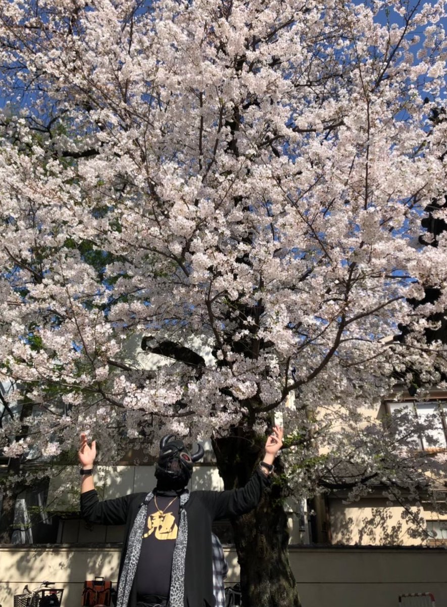 コスモ・ゴロちゃん・ゴロゴローネ・チラのん：公式 tweet media