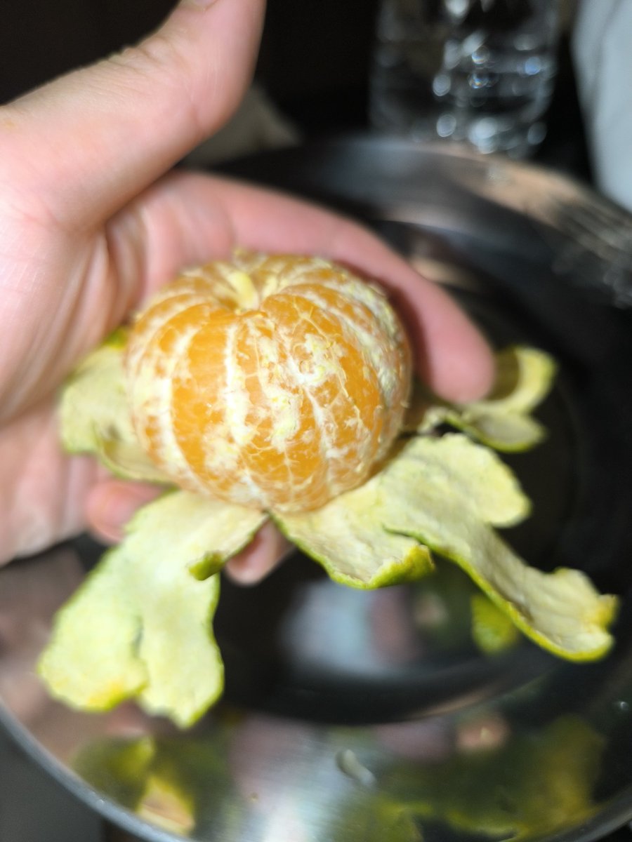 大魔王マッド菜園ティストHI-D tweet media