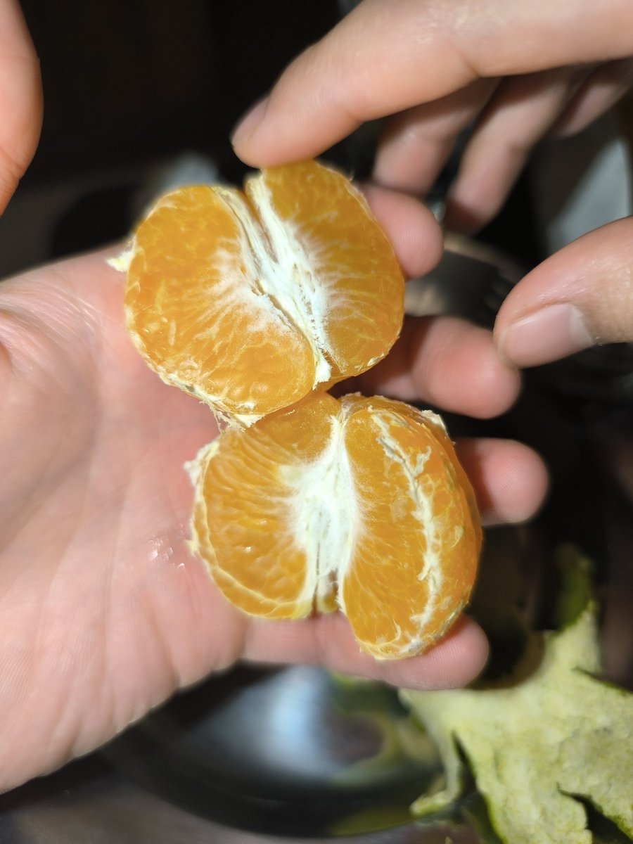 大魔王マッド菜園ティストHI-D tweet media