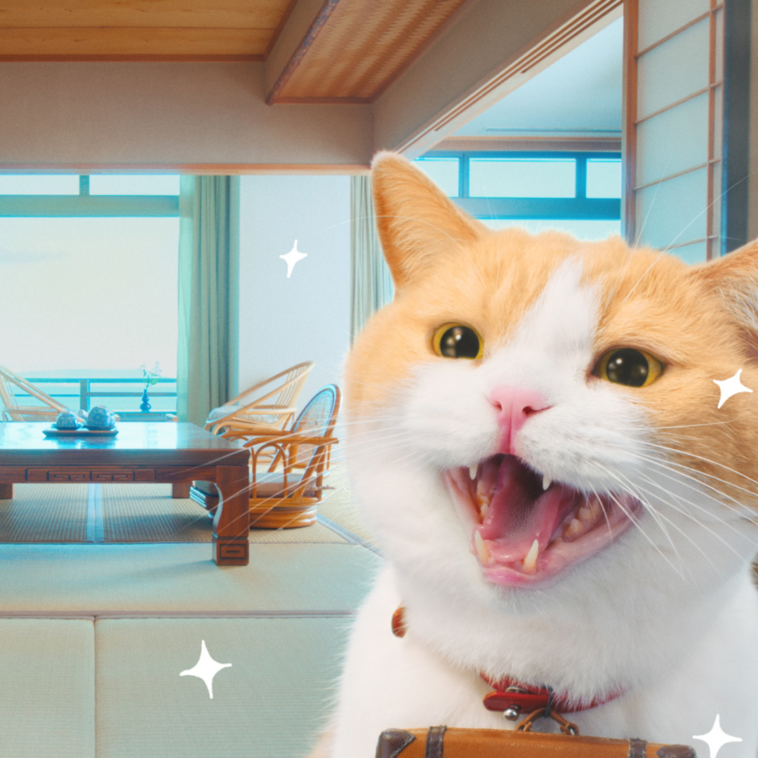 jalannet's tweet photo. 今、予約するのがいいじゃらん♪