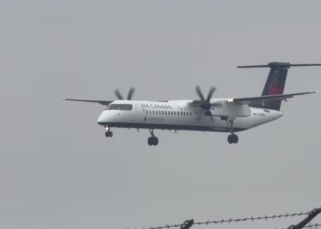 Cass Blackburn tweet media