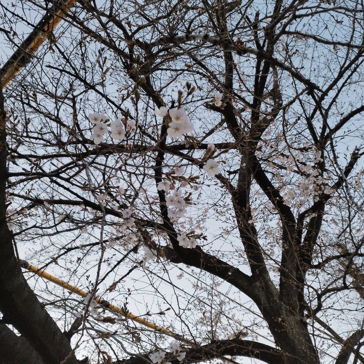 近畿ろうきん【公式】 tweet media