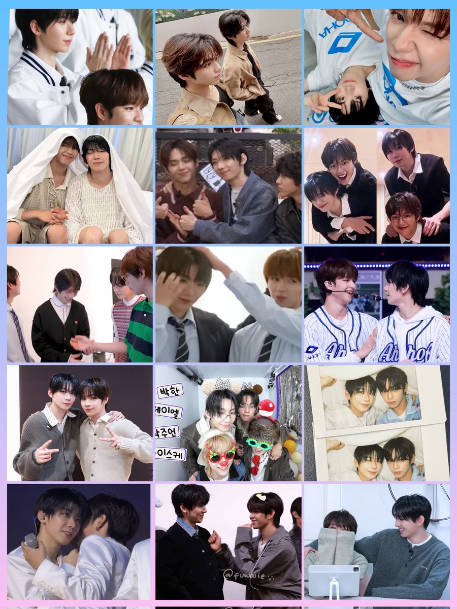 Mina🌟🐻🌩️(doing commish) tweet media