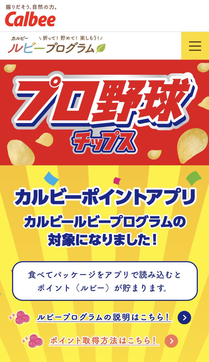 DREAM BRIDGE tweet media