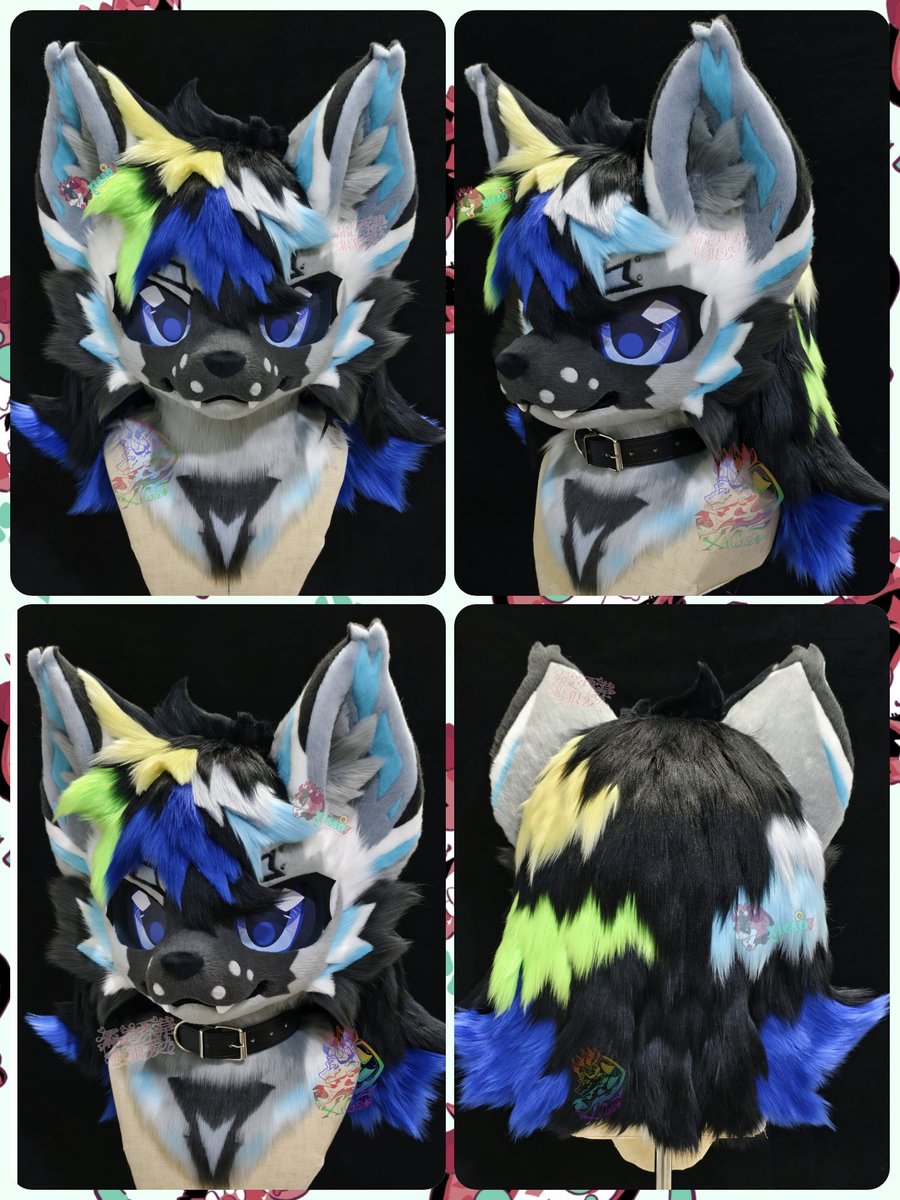 西草Xicao tweet media