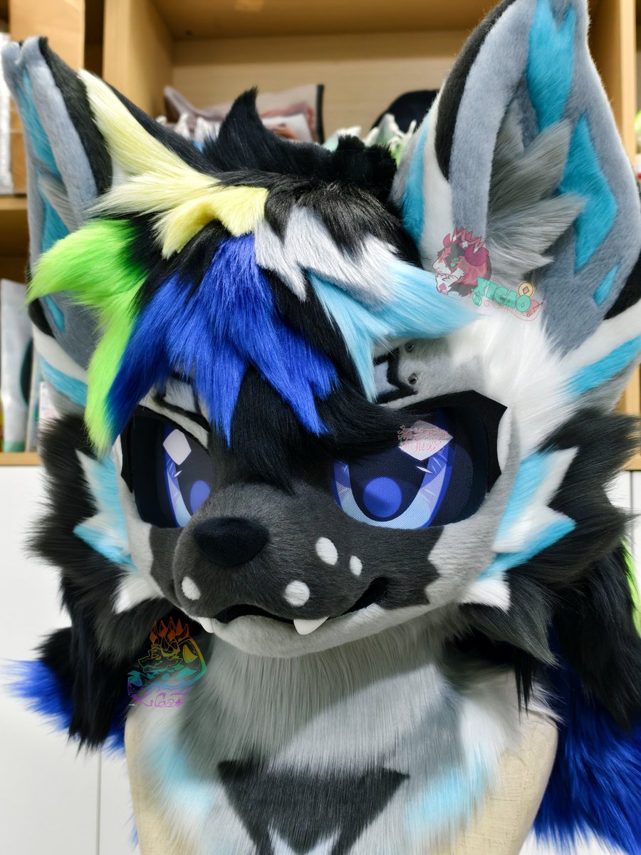 西草Xicao tweet media