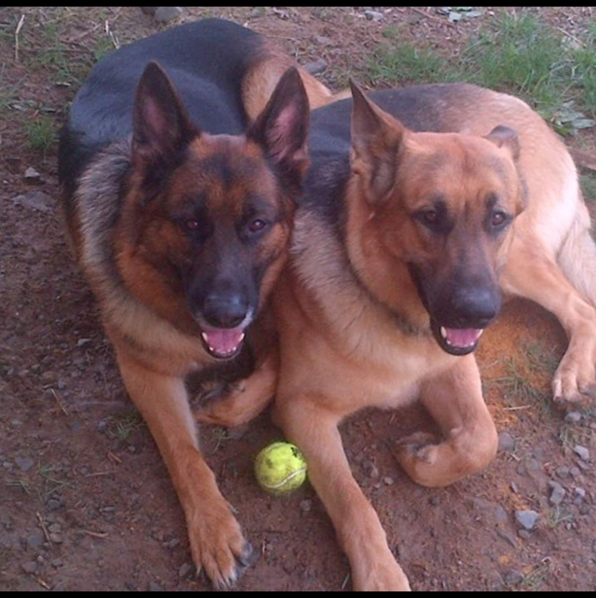 scott white tweet media