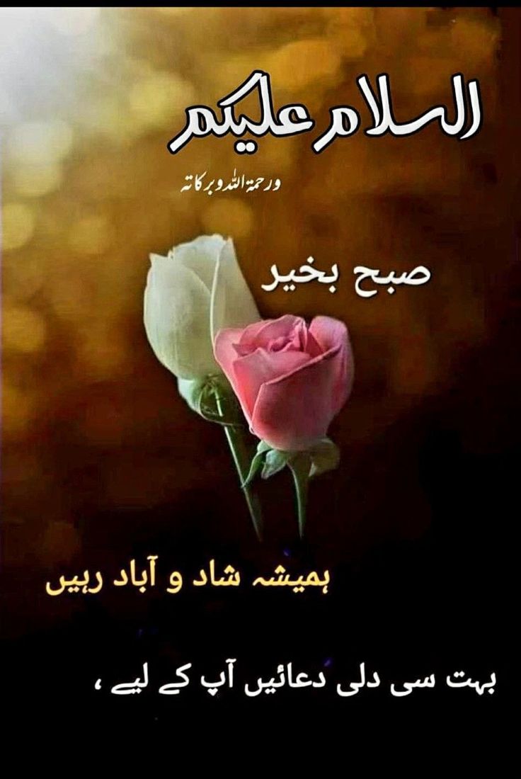 Faiza Khanmᵀᵉᵃᵐᴸᴸᴾ tweet media