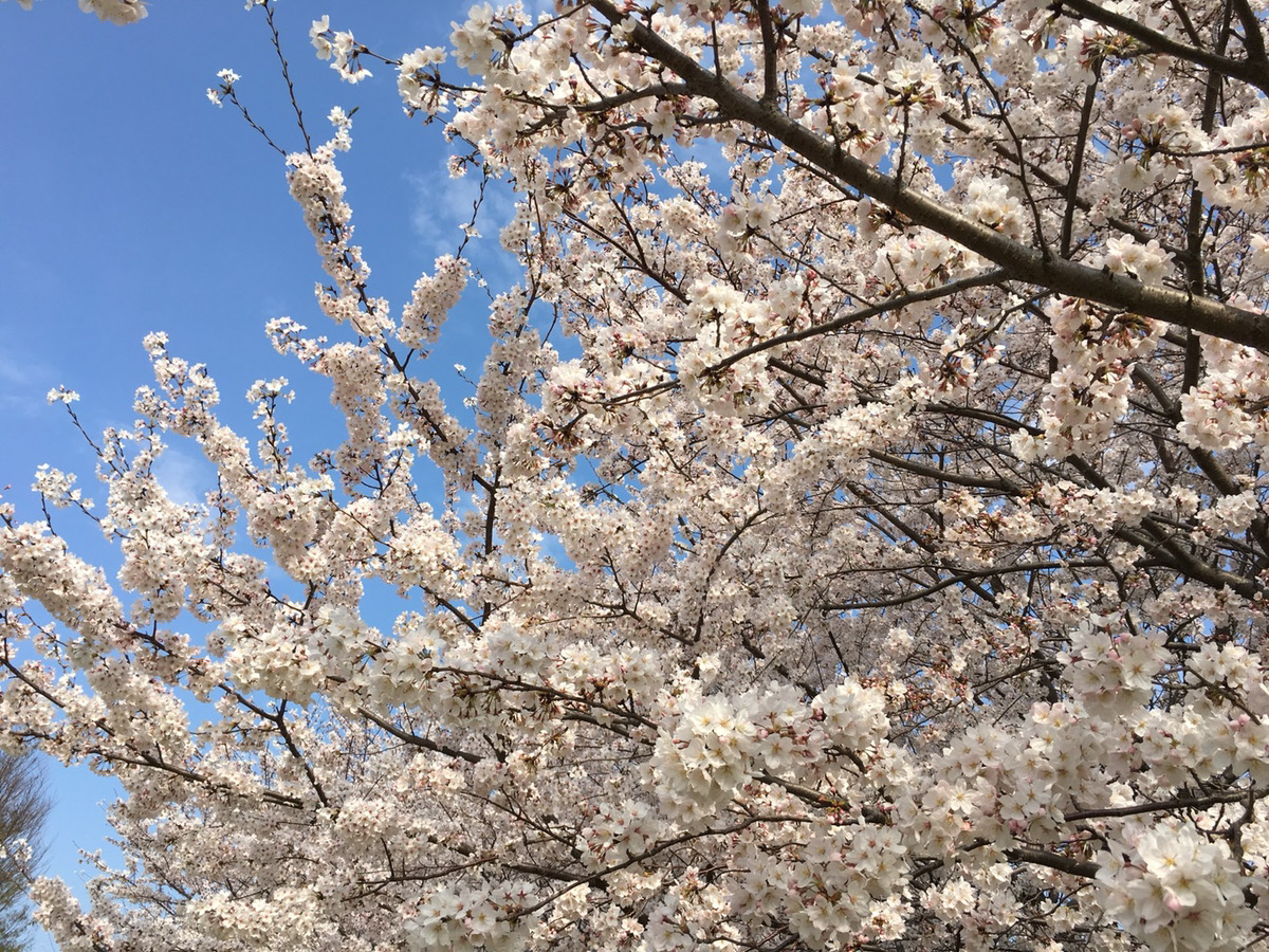 株式会社MOTTERU（モッテル、もってる）【公式】 tweet media