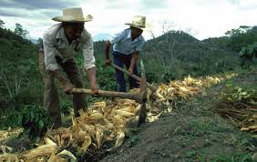 Dylan ☭ tweet media