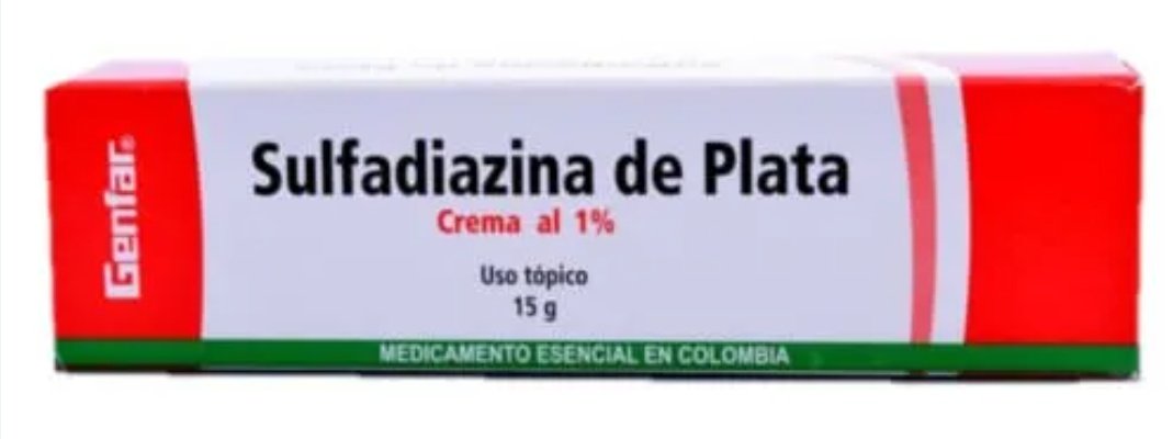 ela ferris tweet media