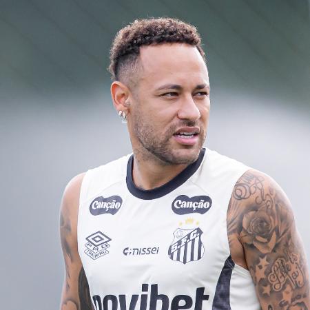 MANUAL DO JOGADOR RUIM tweet media