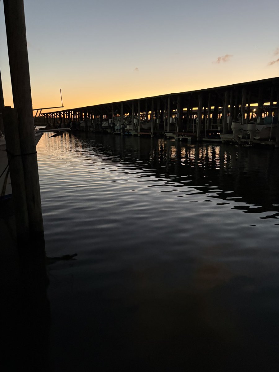 2Tone ⚓️ tweet media