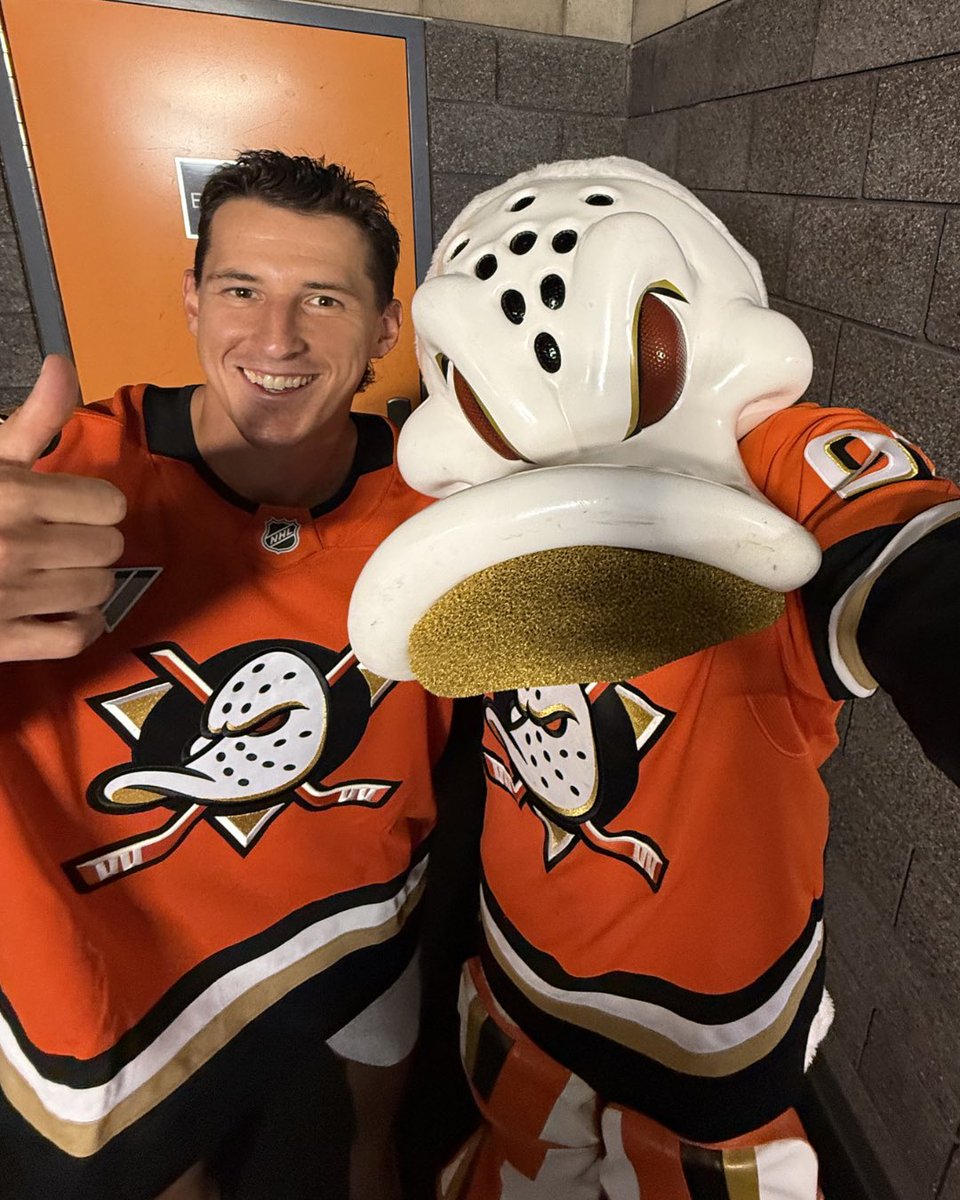 Wild Wing tweet media