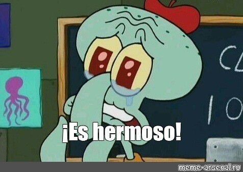 Distortion World tweet media