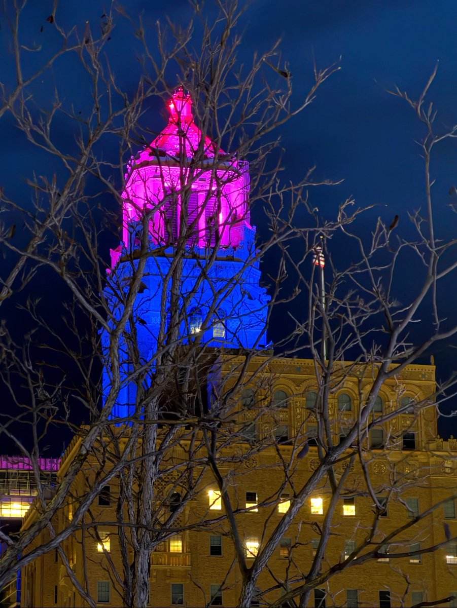 Joselle Cook tweet media