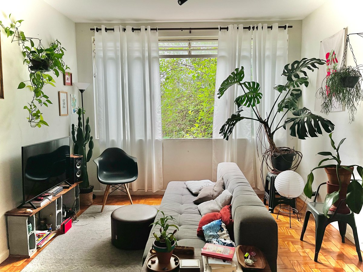 Andre com circunflexo 🏳️🌈 tweet media