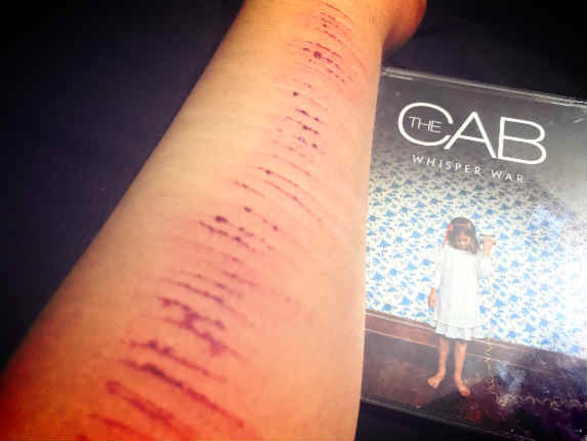 alex deleon of Grasstwt tweet media