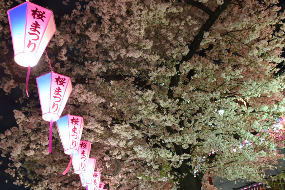 墨田区役所 tweet media