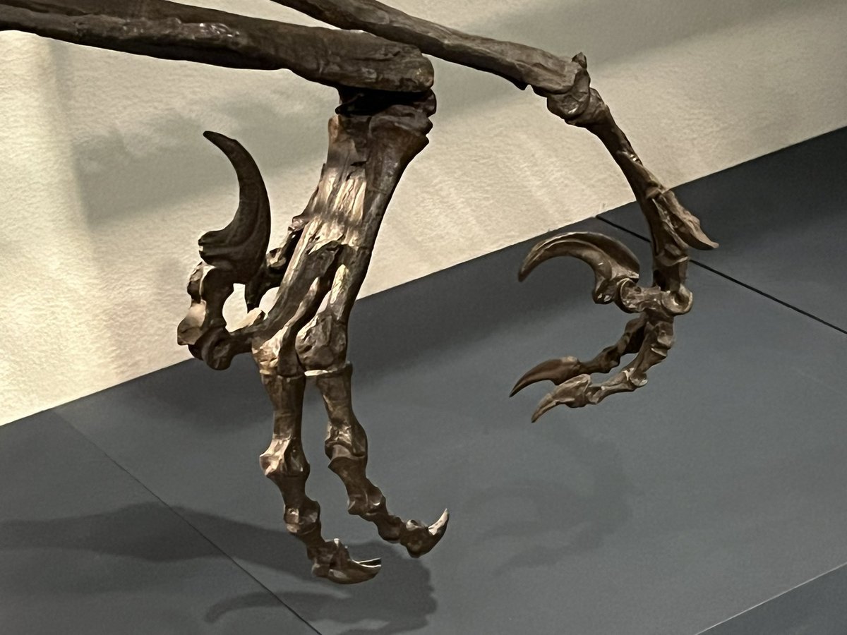 ありがひとし🌇🦖 tweet media