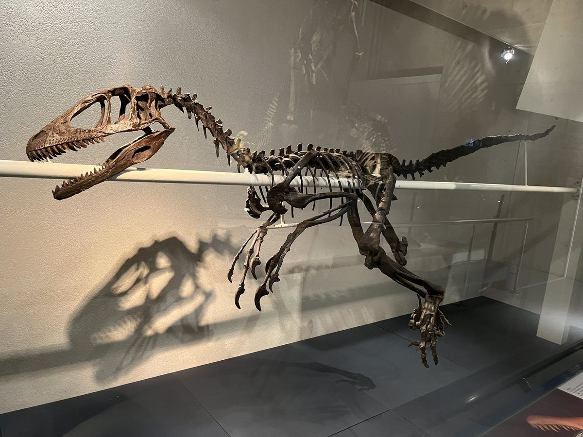 ありがひとし🌇🦖 tweet media