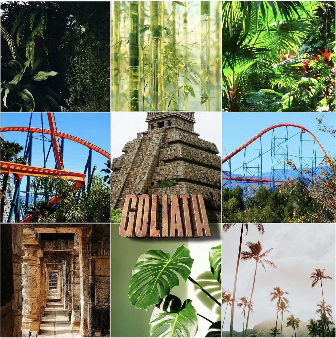 astrollacium tweet media