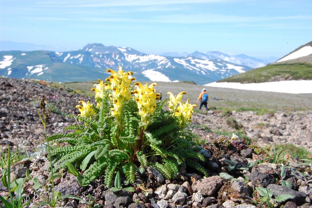 takusei0511 tweet media