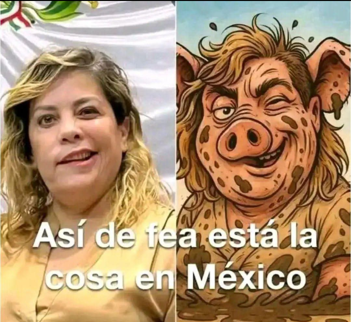 Bill clave tweet media