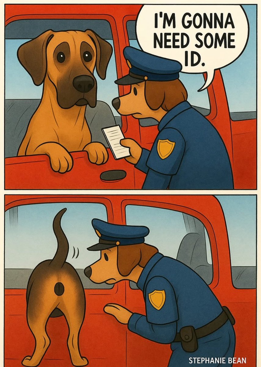 BMRTRADERS tweet media